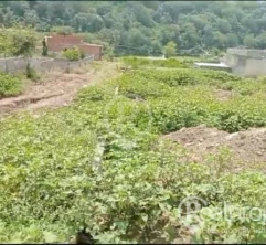 Residencial plots for sale 