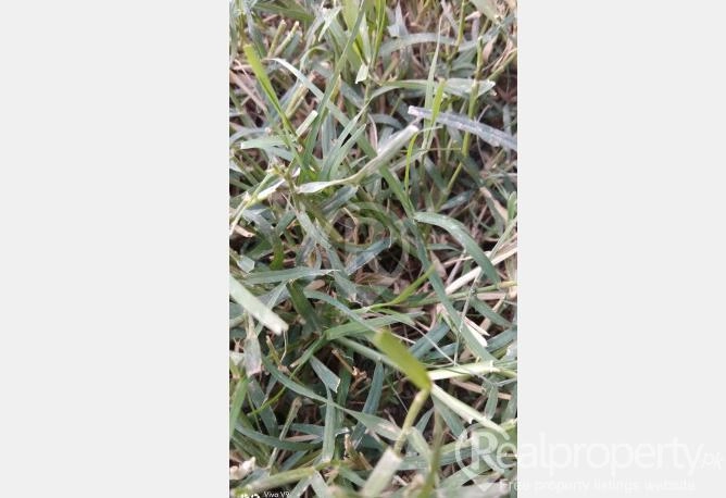 2Plots in Dhilahnwali,More Eminabad