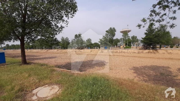 1 Kanal Corner Plot at Chinar Bagh very reasonable price 