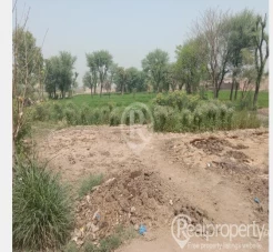6 kanal/0.75 acre/120 marla agricultural/residential land for sale in Qasba Maral LarrMultan