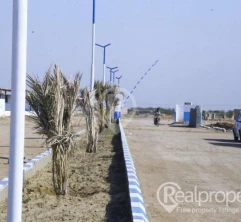 Al-SADAAT FARM HOUSES AND CATTLES FARM