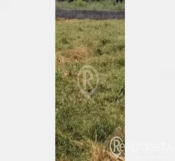 Kanal corner plot for sale.