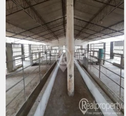 Goat Farm Available for Rent