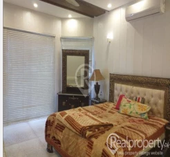 Beautiful 2 Kanal Farm House For SALE