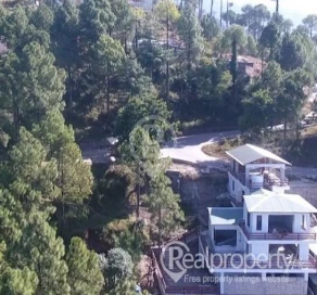 Brand new hill house 