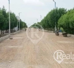 Al Sadat farm houses