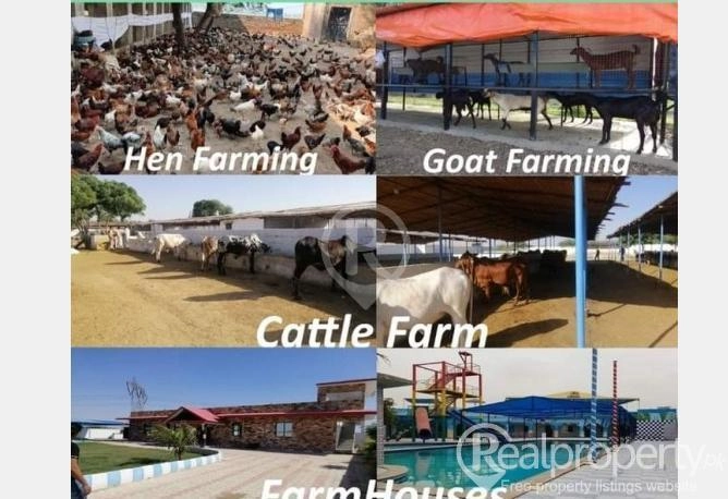 Farmhouses lands for sell