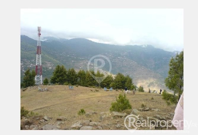 8 Kanal Land Available for Commercial, Apartment and Shopping Mall Purpose