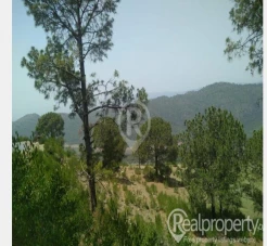 10000 plus Kanal land available for sale , each Kanal from 10 lakh rupees to 25 lakh rupees on Samli dam road near from Bahria enclave Islamabad . ( 10 minutes drive from Bahria enclave)