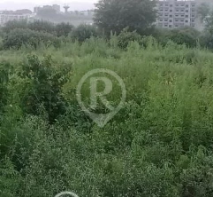 8 kanal agricultural residential farmhouses with covered wall of main road front 150 ft