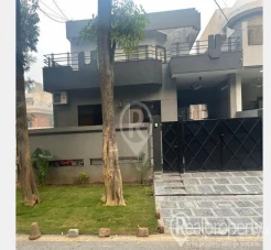 10 Marlas House availabale for Rent